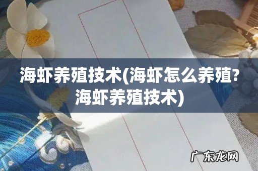 海虾怎么养殖?海虾养殖技术 海虾养殖技术