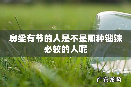 鼻梁有节的人是不是那种锱铢必较的人呢