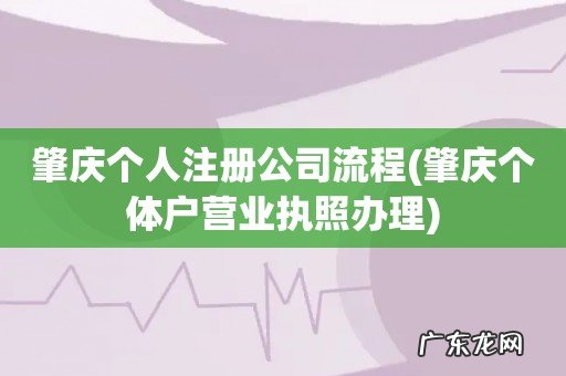 肇庆个体户营业执照办理 肇庆个人注册公司流程