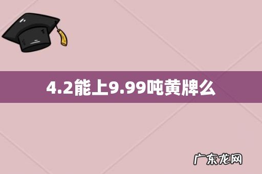4.2能上9.99吨黄牌么