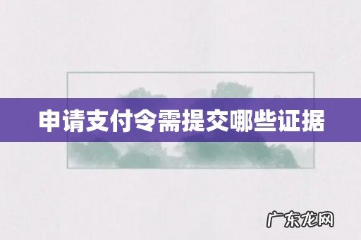 申请支付令需提交哪些证据