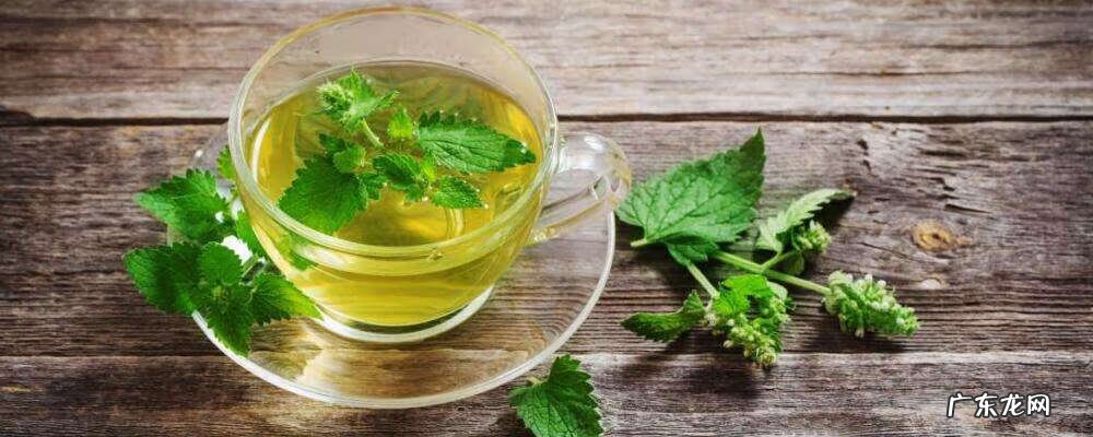 新房装修去味 新房装修除味植物