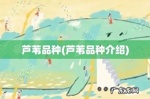 芦苇品种介绍 芦苇品种