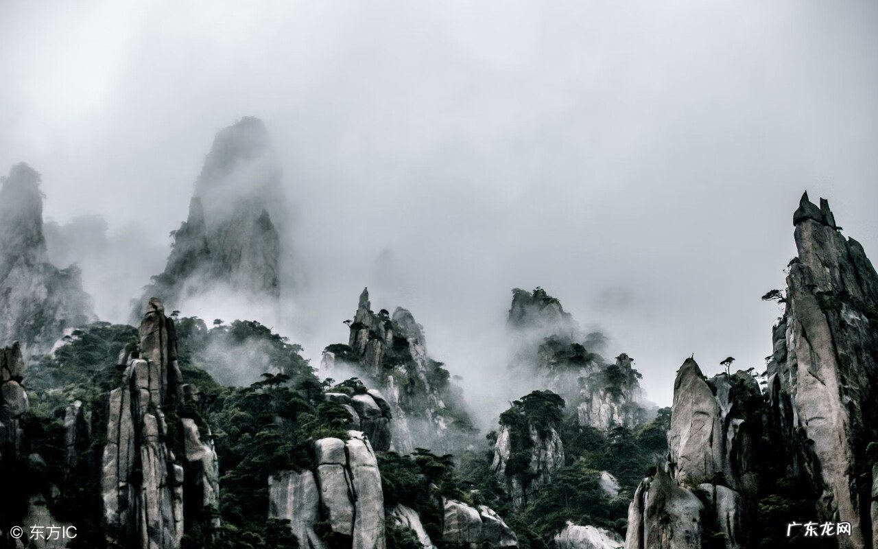 五个读书方法 读书方法作文