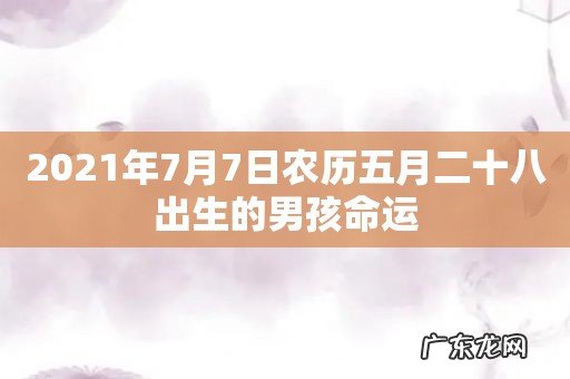2021年7月7日农历五月二十八出生的男孩命运