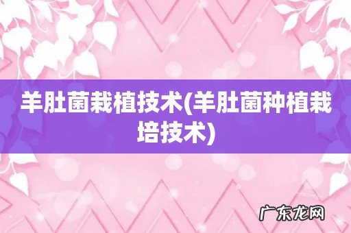 羊肚菌种植栽培技术 羊肚菌栽植技术