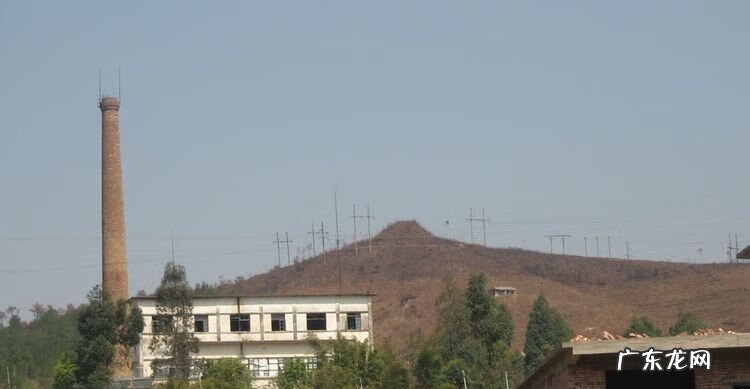 城市绿化对城市发展的意义 城市绿脉风水