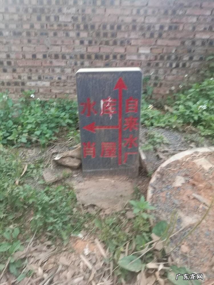 城市绿化对城市发展的意义 城市绿脉风水