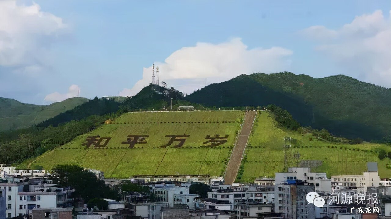 城市绿化对城市发展的意义 城市绿脉风水