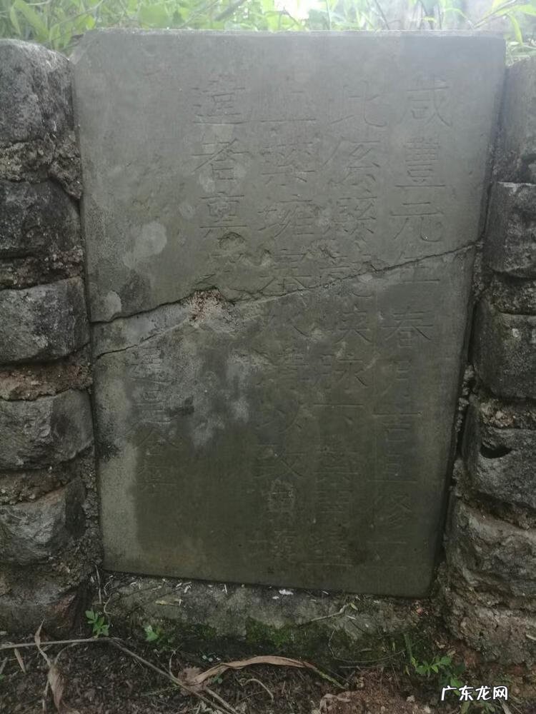 城市绿化对城市发展的意义 城市绿脉风水