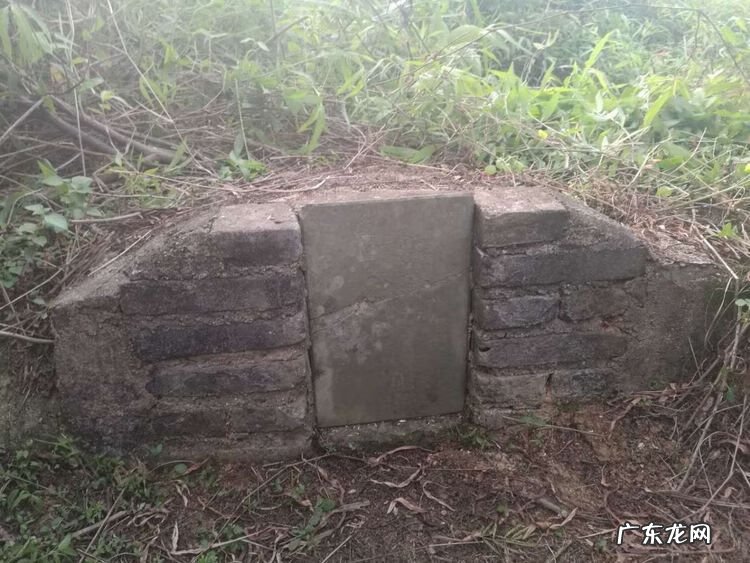 城市绿化对城市发展的意义 城市绿脉风水