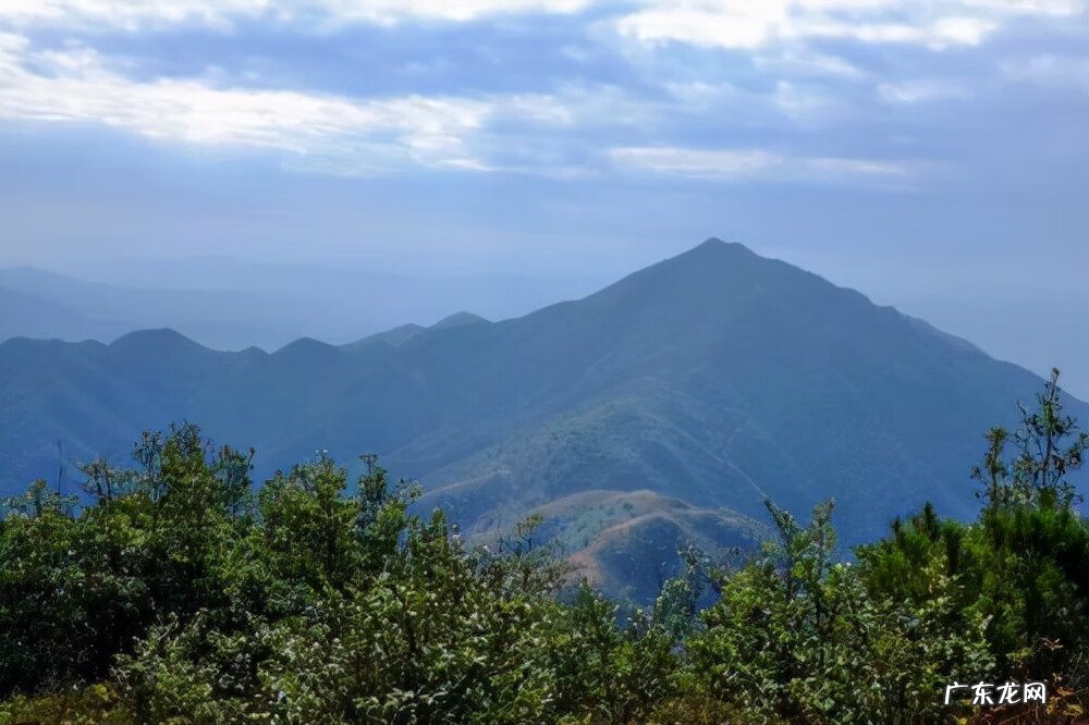 城市绿化对城市发展的意义 城市绿脉风水