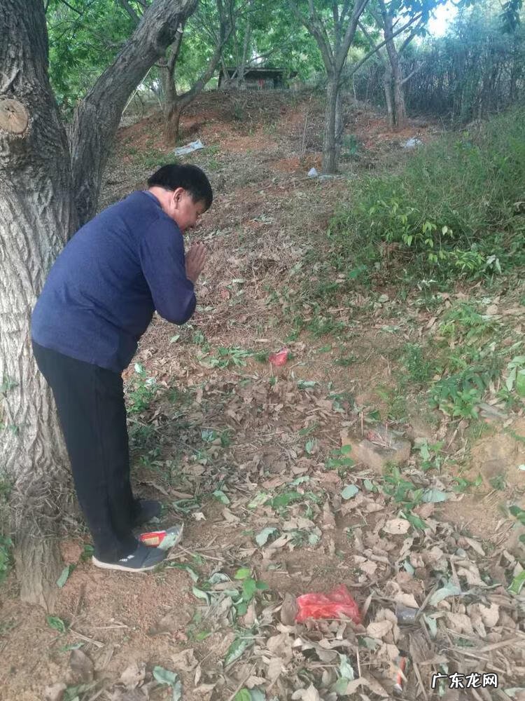 城市绿化对城市发展的意义 城市绿脉风水