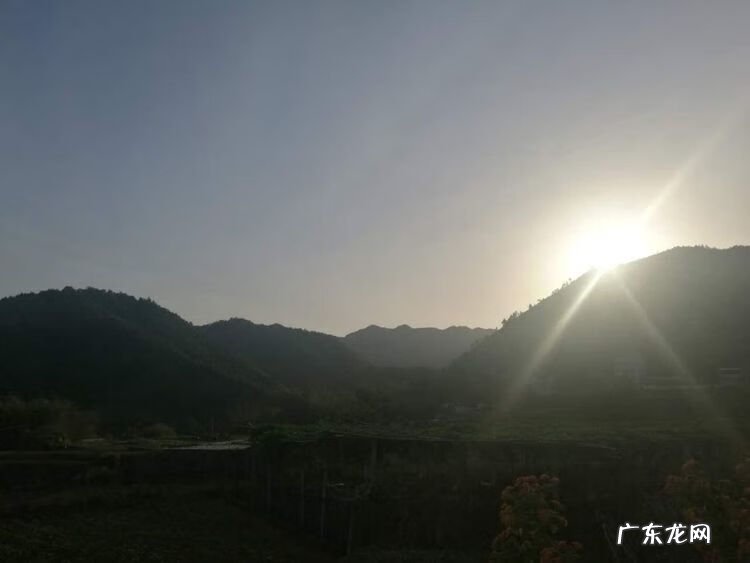 城市绿化对城市发展的意义 城市绿脉风水