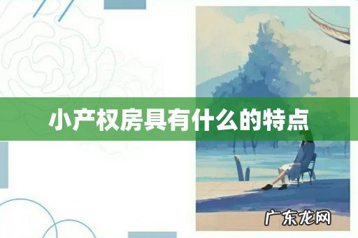 小产权房具有什么的特点