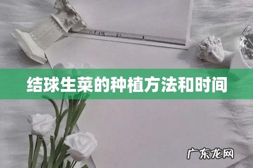 结球生菜的种植方法和时间