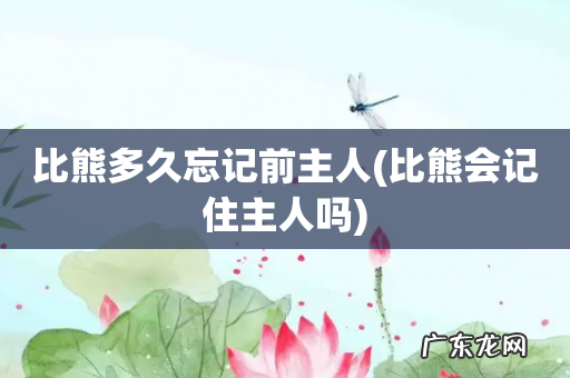比熊会记住主人吗 比熊多久忘记前主人
