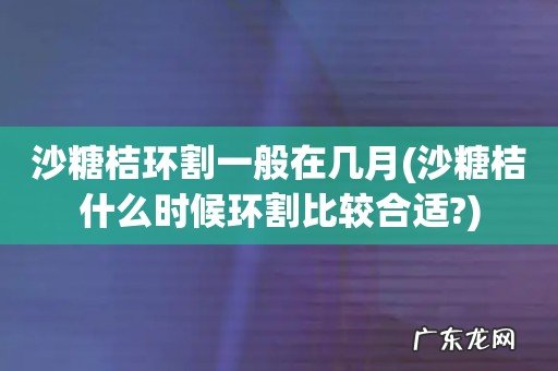 沙糖桔什么时候环割比较合适? 沙糖桔环割一般在几月