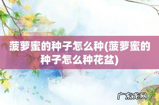 菠萝蜜的种子怎么种花盆 菠萝蜜的种子怎么种