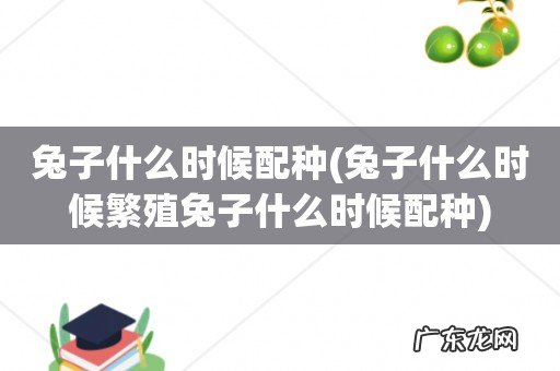 兔子什么时候繁殖兔子什么时候配种 兔子什么时候配种