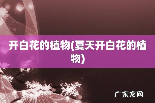 夏天开白花的植物 开白花的植物