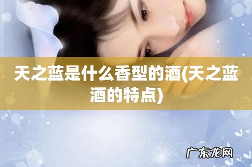 天之蓝酒的特点 天之蓝是什么香型的酒