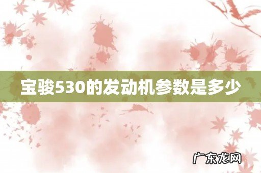 宝骏530的发动机参数是多少