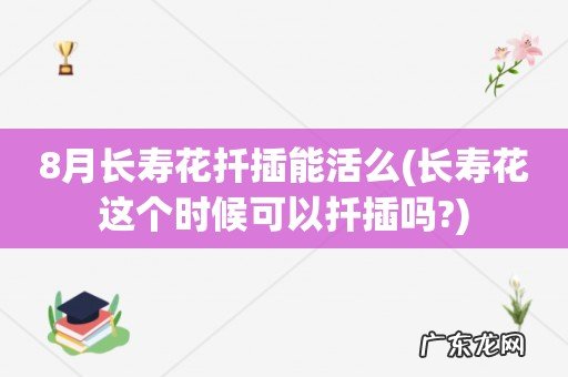 长寿花这个时候可以扦插吗? 8月长寿花扦插能活么