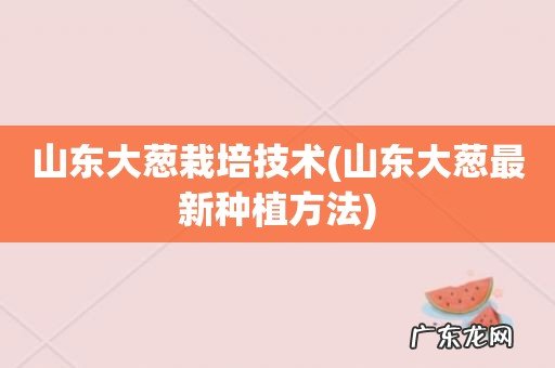 山东大葱最新种植方法 山东大葱栽培技术