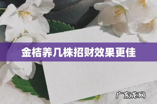 金桔养几株招财效果更佳