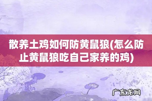 怎么防止黄鼠狼吃自己家养的鸡 散养土鸡如何防黄鼠狼
