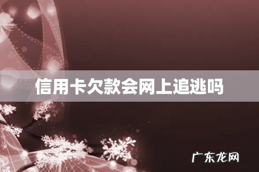 信用卡欠款会网上追逃吗