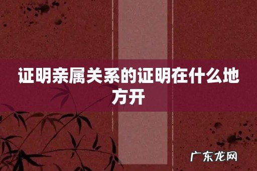 证明亲属关系的证明在什么地方开