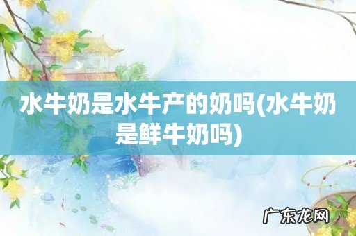 水牛奶是鲜牛奶吗 水牛奶是水牛产的奶吗