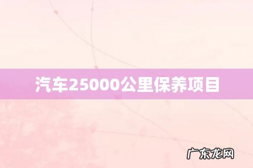 汽车25000公里保养项目