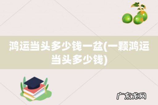 一颗鸿运当头多少钱 鸿运当头多少钱一盆