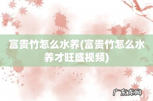 富贵竹怎么水养才旺盛视频 富贵竹怎么水养