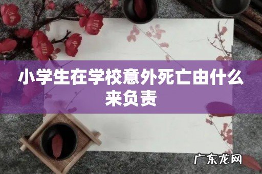 小学生在学校意外死亡由什么来负责