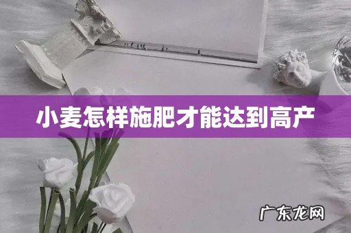 小麦怎样施肥才能达到高产