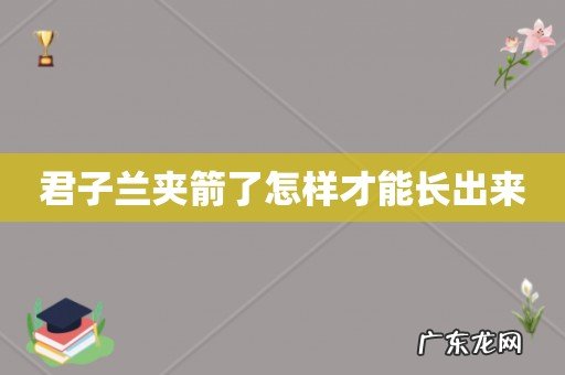 君子兰夹箭了怎样才能长出来