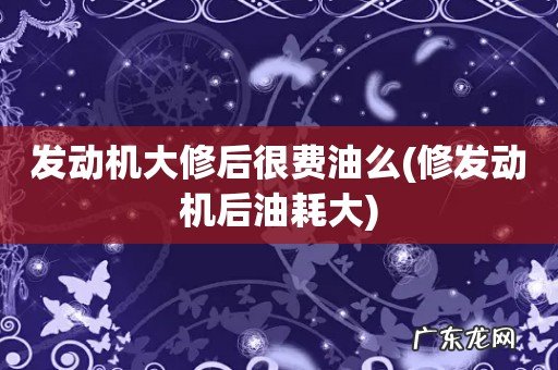 修发动机后油耗大 发动机大修后很费油么