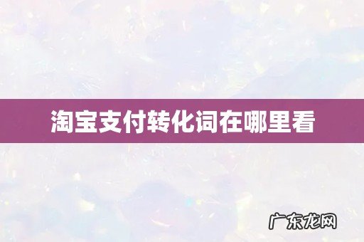 淘宝支付转化词在哪里看