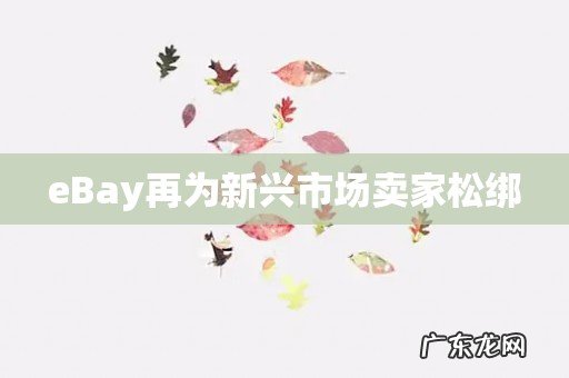 eBay再为新兴市场卖家松绑