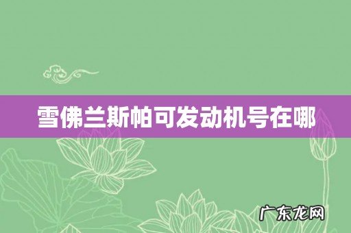 雪佛兰斯帕可发动机号在哪