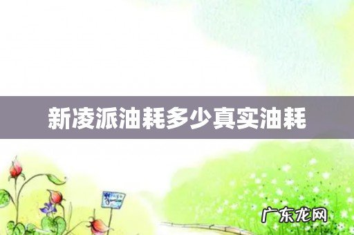 新凌派油耗多少真实油耗