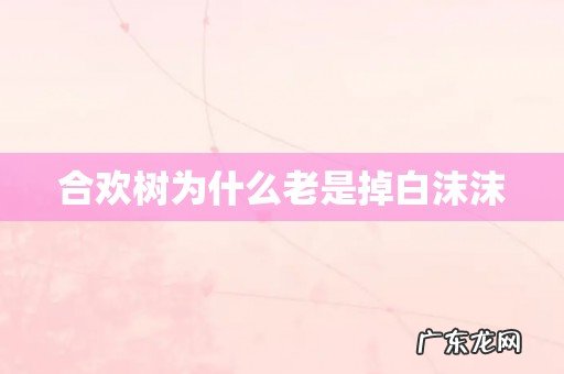 合欢树为什么老是掉白沫沫