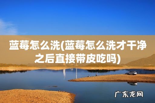 蓝莓怎么洗才干净之后直接带皮吃吗 蓝莓怎么洗