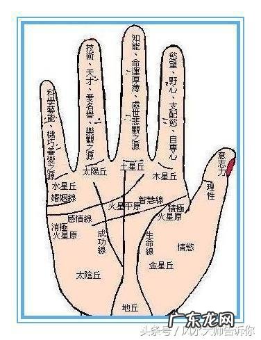 手掌风水知识 手心常热风水学
