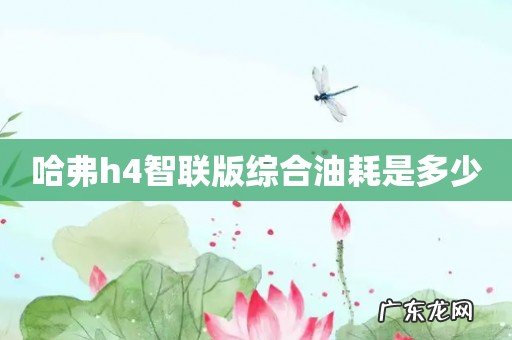 哈弗h4智联版综合油耗是多少