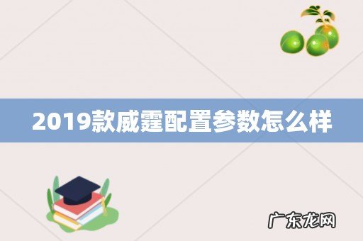 2019款威霆配置参数怎么样